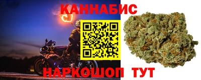 стаф Бузулук