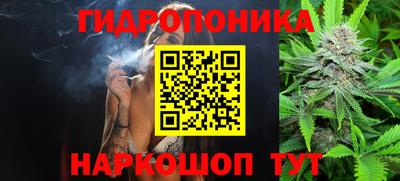 стаф Бузулук