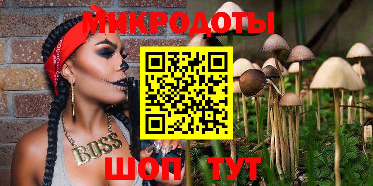 Галлюциногенные грибы Cubensis Сатка
