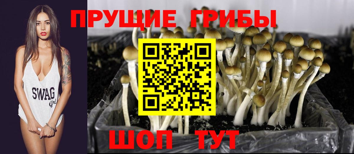 Псилоцибиновые грибы Cubensis  Псилоцибиновые грибы GOLDEN TEACHER  Вход с VPN  Сатка 